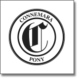 Connemara Pony - AC