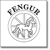 Fengur